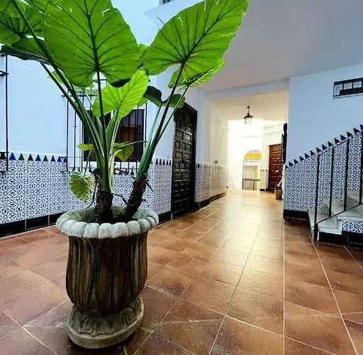 Apartamento Queen Pompeyos Con Parking Bajo Reserva Tendillas Mezquita-catedral Córdova