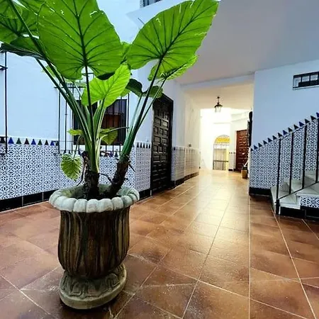 Apartamento Queen Pompeyos Con Parking Bajo Reserva Tendillas Mezquita-catedral Córdoba